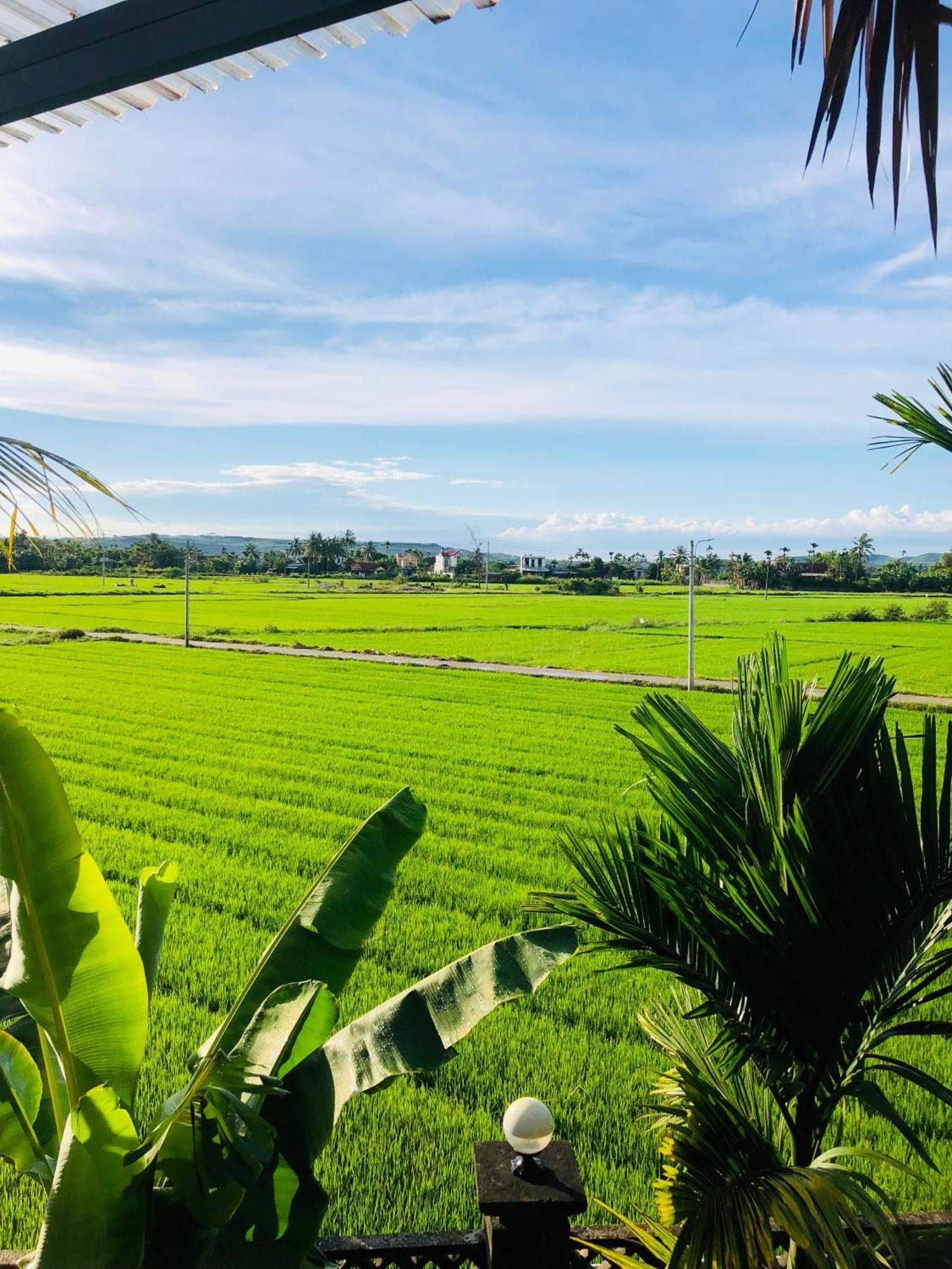Countryside Homestay 广义 外观 照片