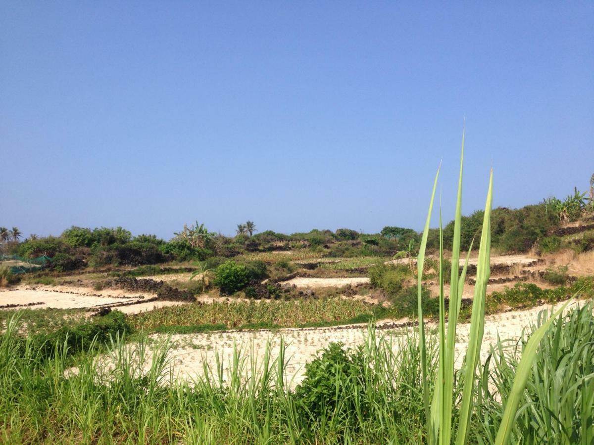 Countryside Homestay 广义 外观 照片